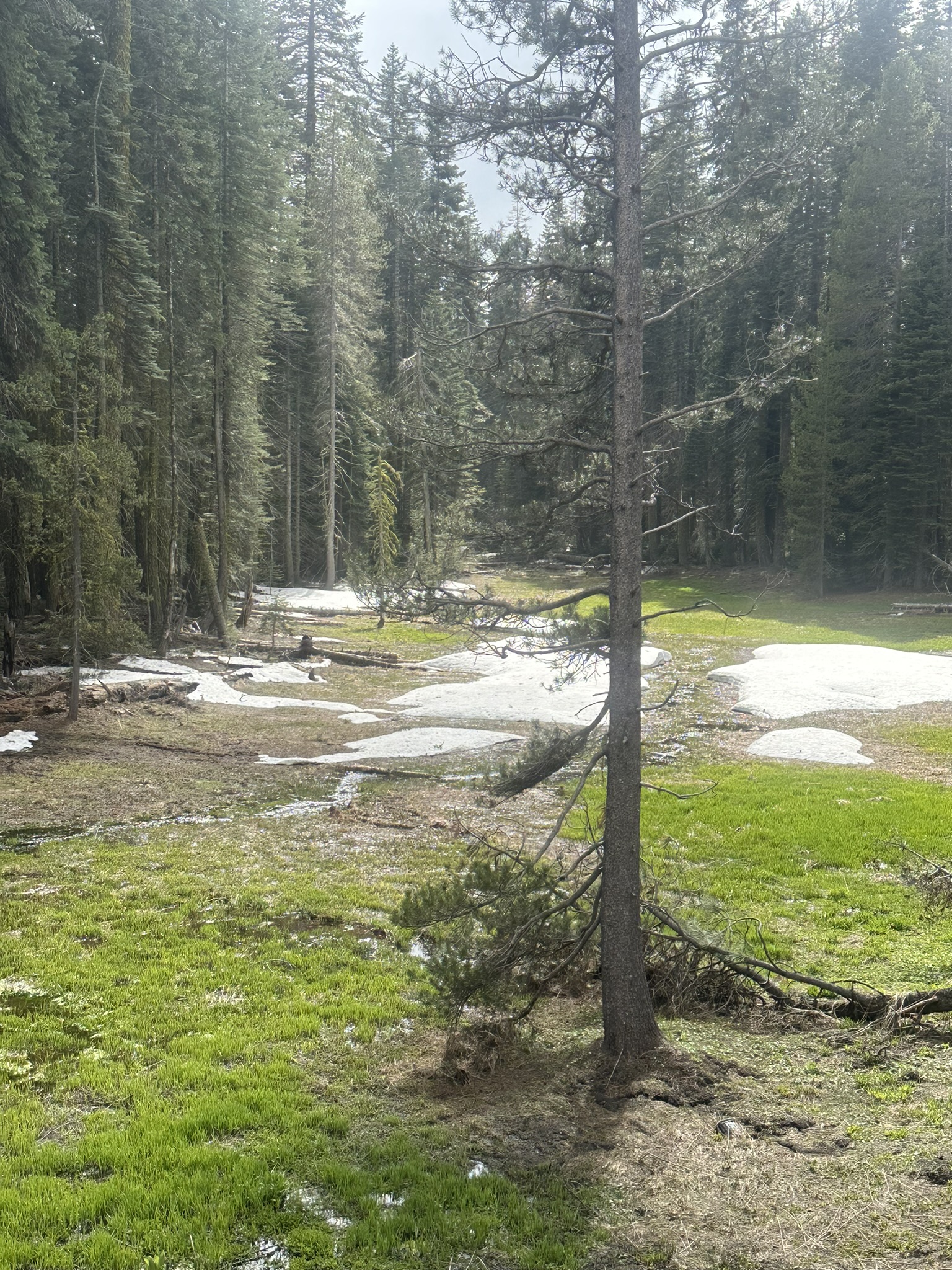 United States-National Parks-Other - Image 125